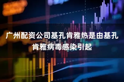 广州配资公司基孔肯雅热是由基孔肯雅病毒感染引起