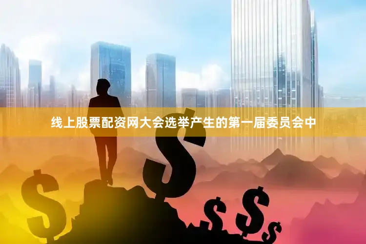 线上股票配资网大会选举产生的第一届委员会中