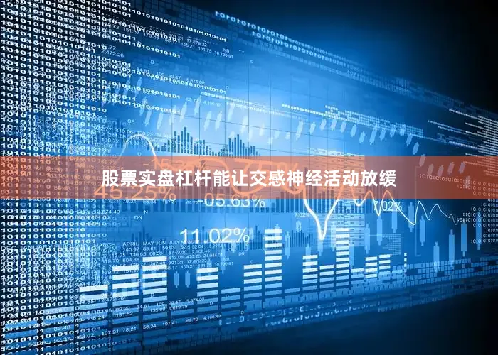 股票实盘杠杆能让交感神经活动放缓