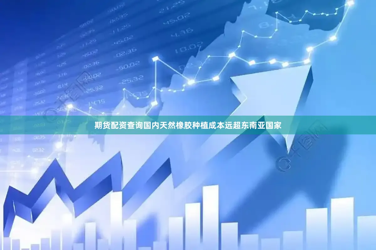 期货配资查询国内天然橡胶种植成本远超东南亚国家